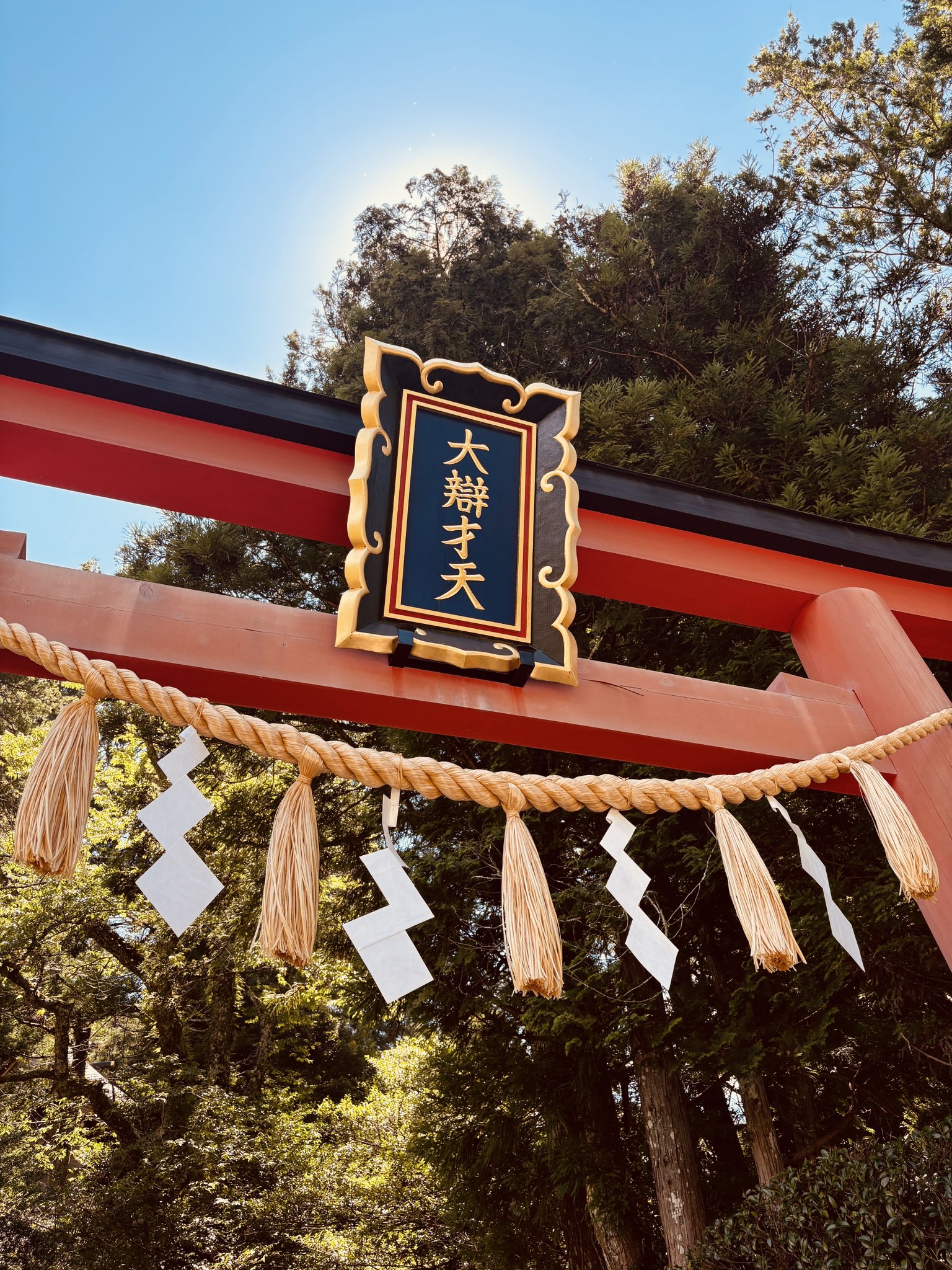 きのこ社on X: 