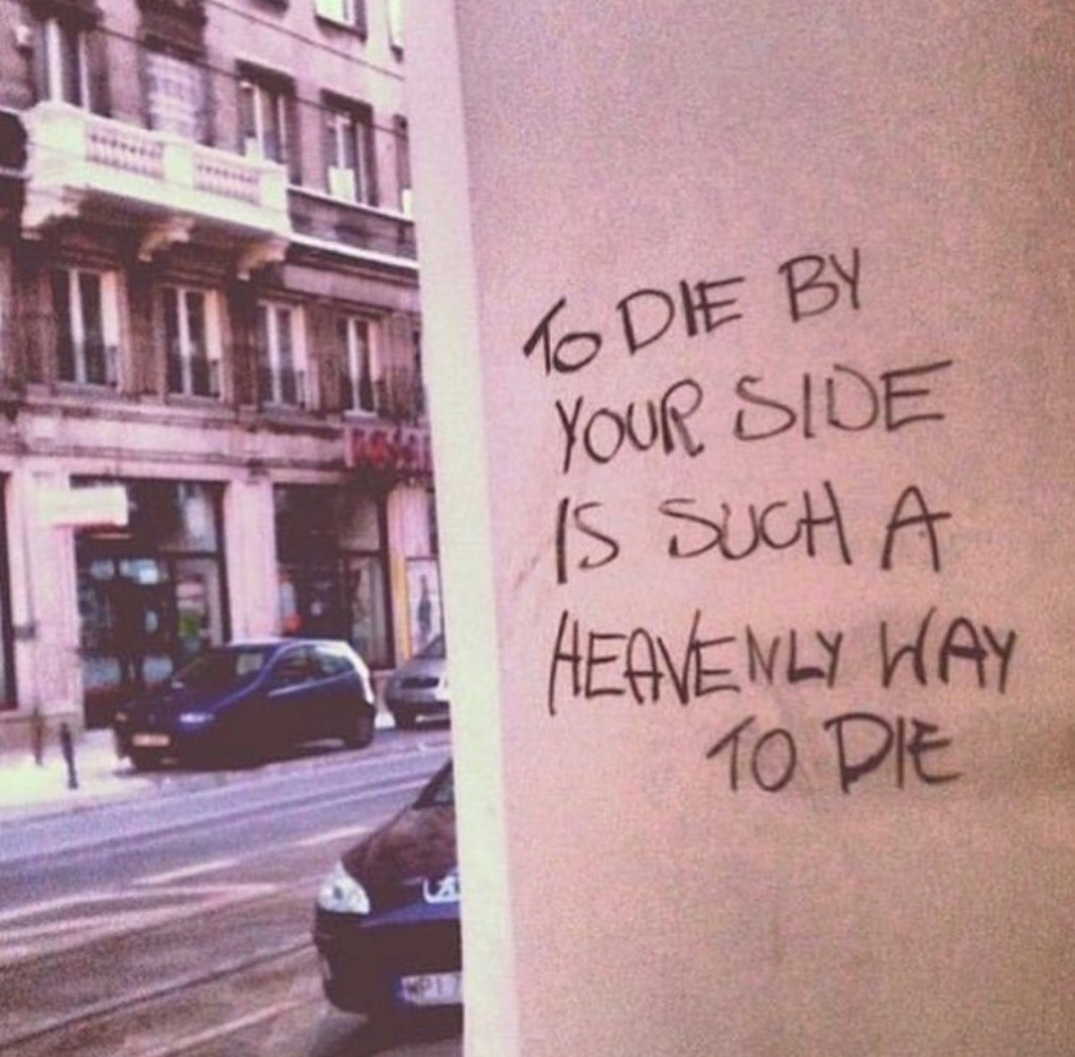 𝗚𝗘𝗡𝗘𝗥𝗔𝗧𝗜𝗢𝗡 𝗢𝗙 𝗦𝗖𝗔𝗥𝗦 tweet media