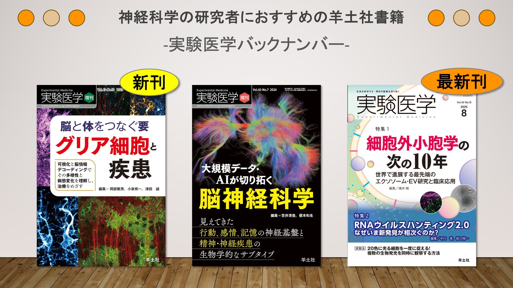 医学教育概論 第4巻―医学生・看護学生に学び方を語る (現代社白鳳選書) [新書] 瀬江 千史 NURSING TEXTBOOK SERIES 看護学概論 第4版 看護追求への