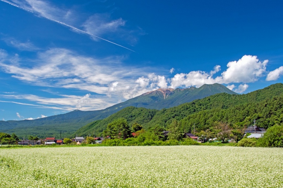 Aone73661569's tweet image. 皆様こんにちは
今日はうな次郎の日でもあるようです。うな次郎は初めて知りましたが美味いかな😊そして愛知県の清掃・建物管理を行っております(株)A-oneのYouTubeです🐻良ければチャンネル登録よろしくお願いします🙏
出逢いとご縁大切に素敵な午後をお過ごし下さい🙏
youtube.com/shorts/34RjWXI…