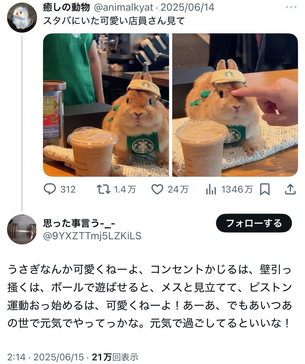 迷リプ集 (@midoga_) on Twitter photo 