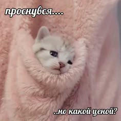 AntonBelyayev1's tweet image. доброе утро всем добрым людям. а злые спутают соль и сахар за завтраком.