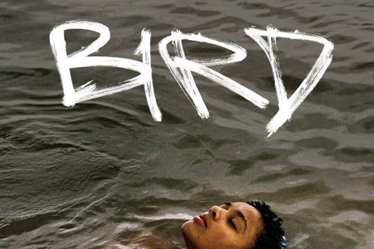 Cómo me ha gustado 'Bird'. Andrea Arnold tiene un sello inconfundible, pero en esta ocasión lo lleva más allá, uniendo la crudeza de los márgenes con la fantasía y un escape poético inesperado. Una joya de una sensibilidad arrolladora. La he recuperado en <a href="/Filmin/">Filmin</a>