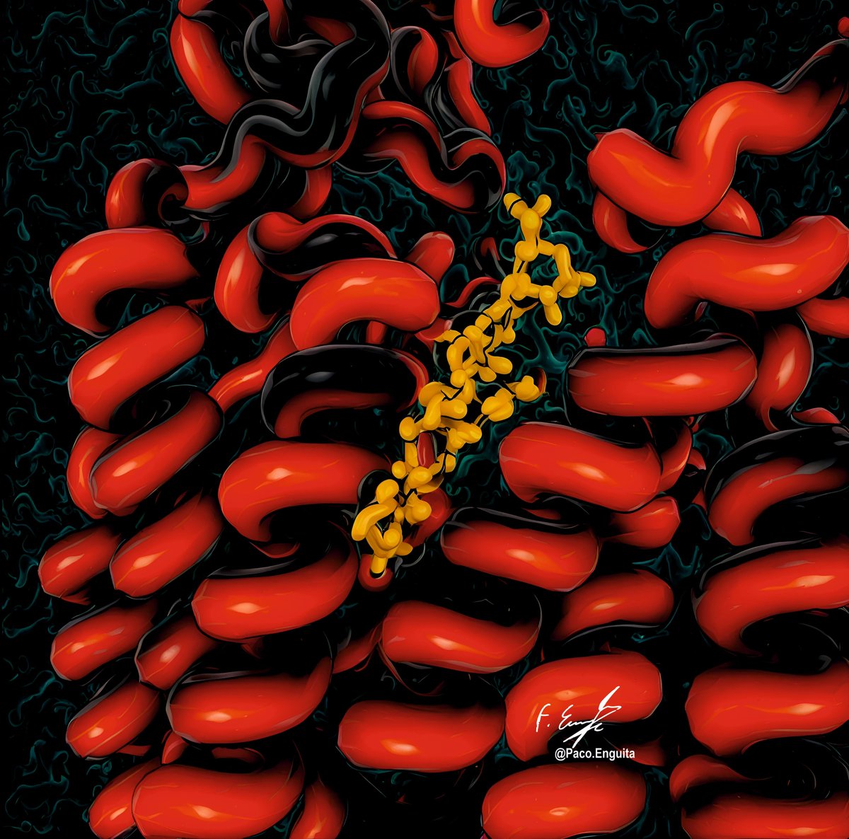 fenguita's tweet image. CryoEM structure of the human prostaglandin transporter OATP2A1 (PDB code: 9MGK) #scivis #molecularart @dzine_ai @proteinimaging
behance.net/gallery/231117…
