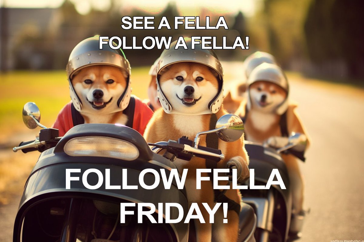 It's Follow Fella Friday! 🤩 
Rules are simple: 
1. See a Fella 
2. Follow a Fella  

Leave a reply below so other Fellas can easily find you! 👇🏼  

This is the way! 

#NAFO #fella
