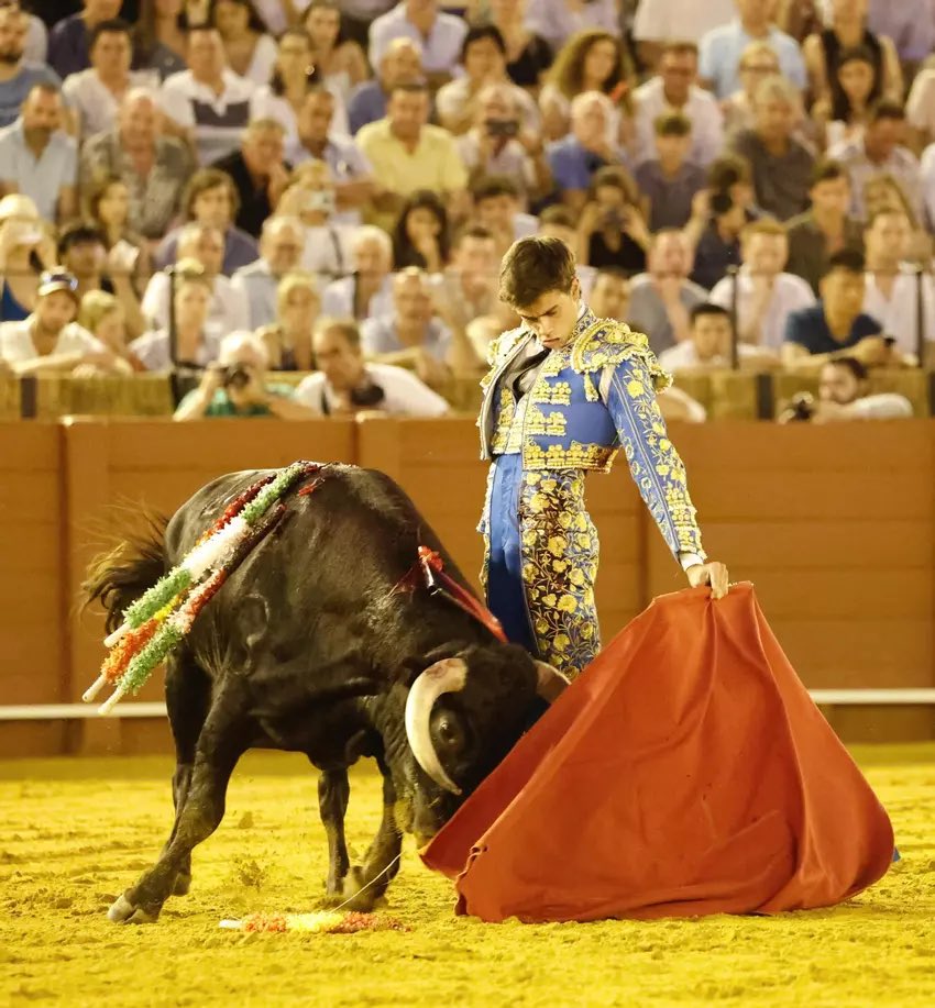 TTPorvenir's tweet image. 🎉 Enhorabuena a Julio Aparicio, triunfador del ciclo de novilladas de promoción de Sevilla.
👏 Reconocimiento también a todos los finalistas por su entrega y pasión. La afición de Sevilla sigue por apostando por el futuro.
#Toros #Sevilla #Novilladas @maestranzapages