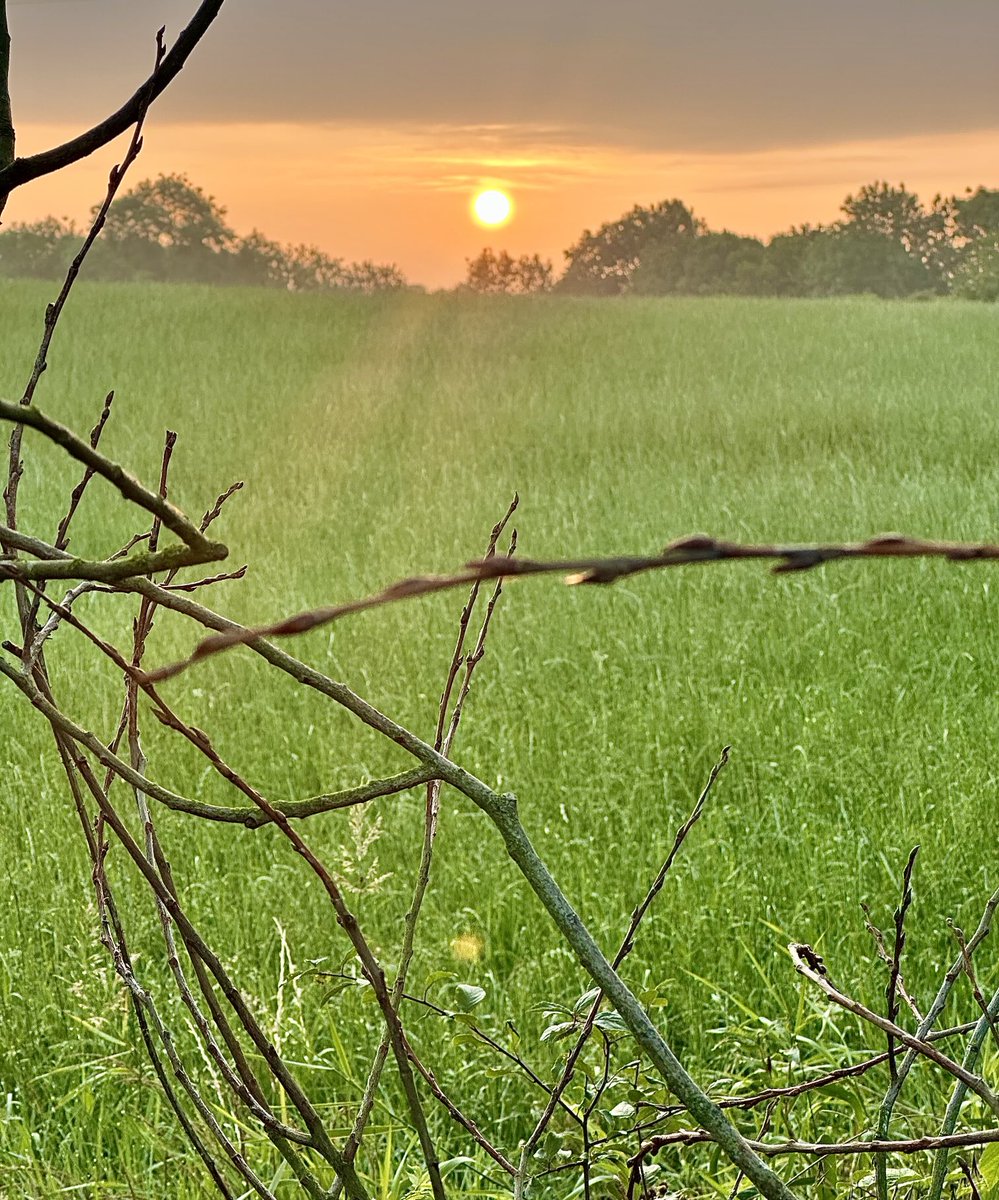 Ian Gee (@iangee19) on Twitter photo Well the sun was out for the early dog walk, we just had to find a break in branches and bushes to see it. <a href="/StormHour/">#StormHour</a> <a href="/ThePhotoHour/">#ThePhotoHour</a> #weather #sunrise Well the sun was out for the early dog walk, we just had to find a break in branches and bushes to see it. <a href="/StormHour/">#StormHour</a> <a href="/ThePhotoHour/">#ThePhotoHour</a> #weather #sunrise