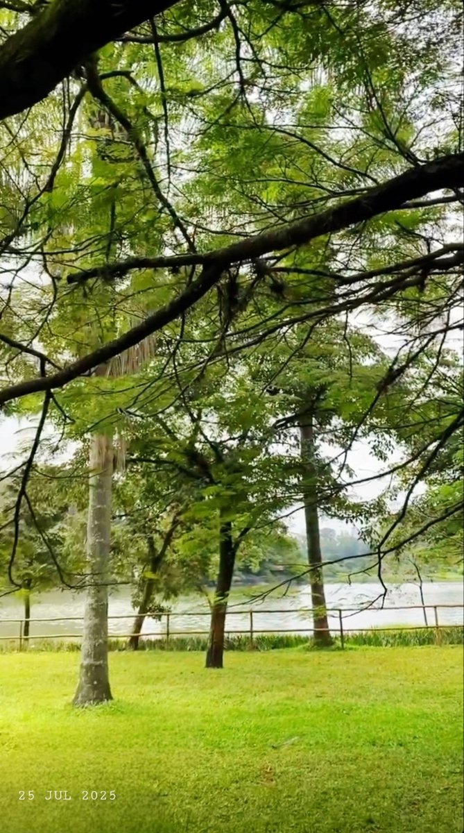 codice_nature's tweet image. Buongiorno 🌞🌈☕ e buon venerdì pargoli 😘. Il tuo cambiamento non arriva con la forza, ma con la pazienza di chi sa che la crescita richiede tempo. Ogni passo che sembri fare lentamente è, in realtà, un passo verso la persona che sei destinata a diventare. Vvb 🤗