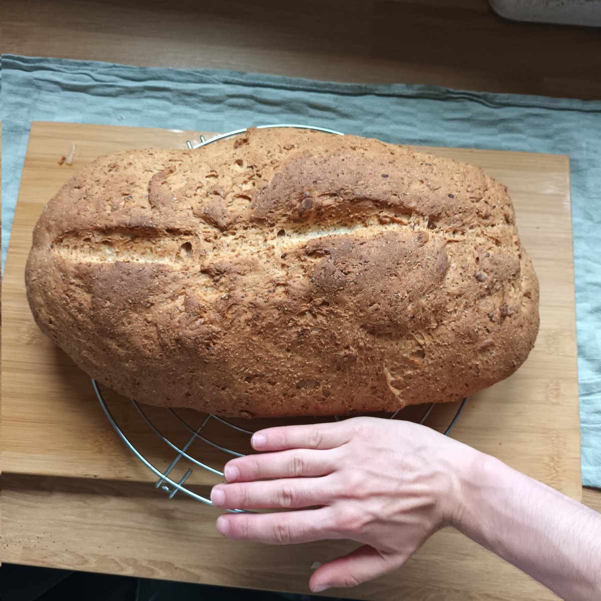 deerbraincel's tweet image. baked this big ah bread