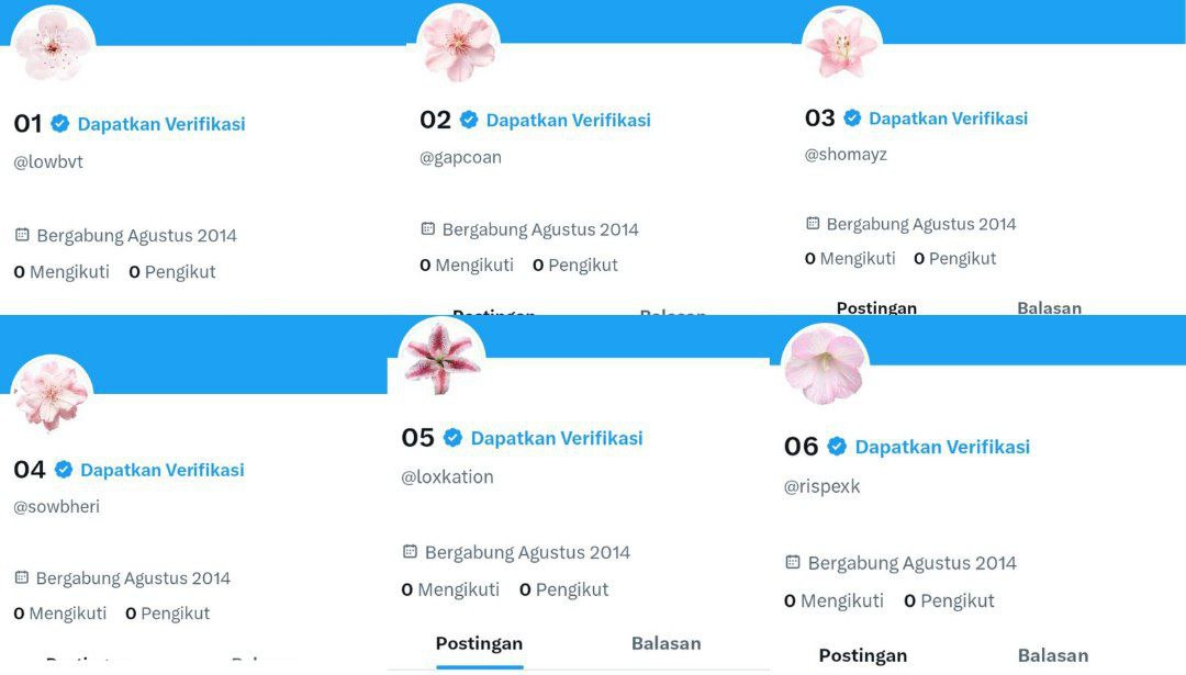 pwotatos's tweet image. WTS ACC KOSONGAN Y14
๐ธ8k/acc
- V email only
- go green
- masuk mt (ht dimainin)
- dapet data lengkap acc
#zonauang #zonajajan