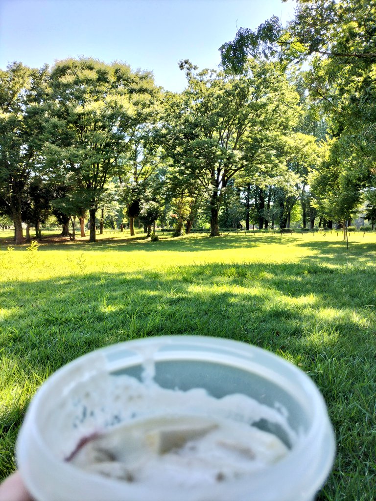 kokiairin's tweet image. おはこんにちは
今日も森に来てます
夏生まれのせいか暑さに耐性があるので、真夏でも森に散歩に来てヨーグルトを食べてます
でも最近はさすがに人が少なく、シンとしてます
風が心地良いです