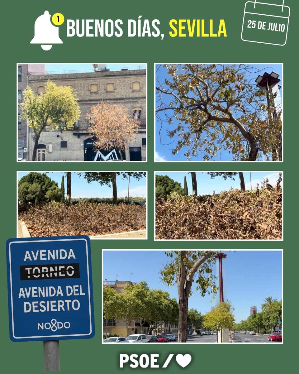 Buenos días 🌞
Un nuevo concepto paisajístico en Sevilla: el secarral urbano 🌵
#FelizViernes