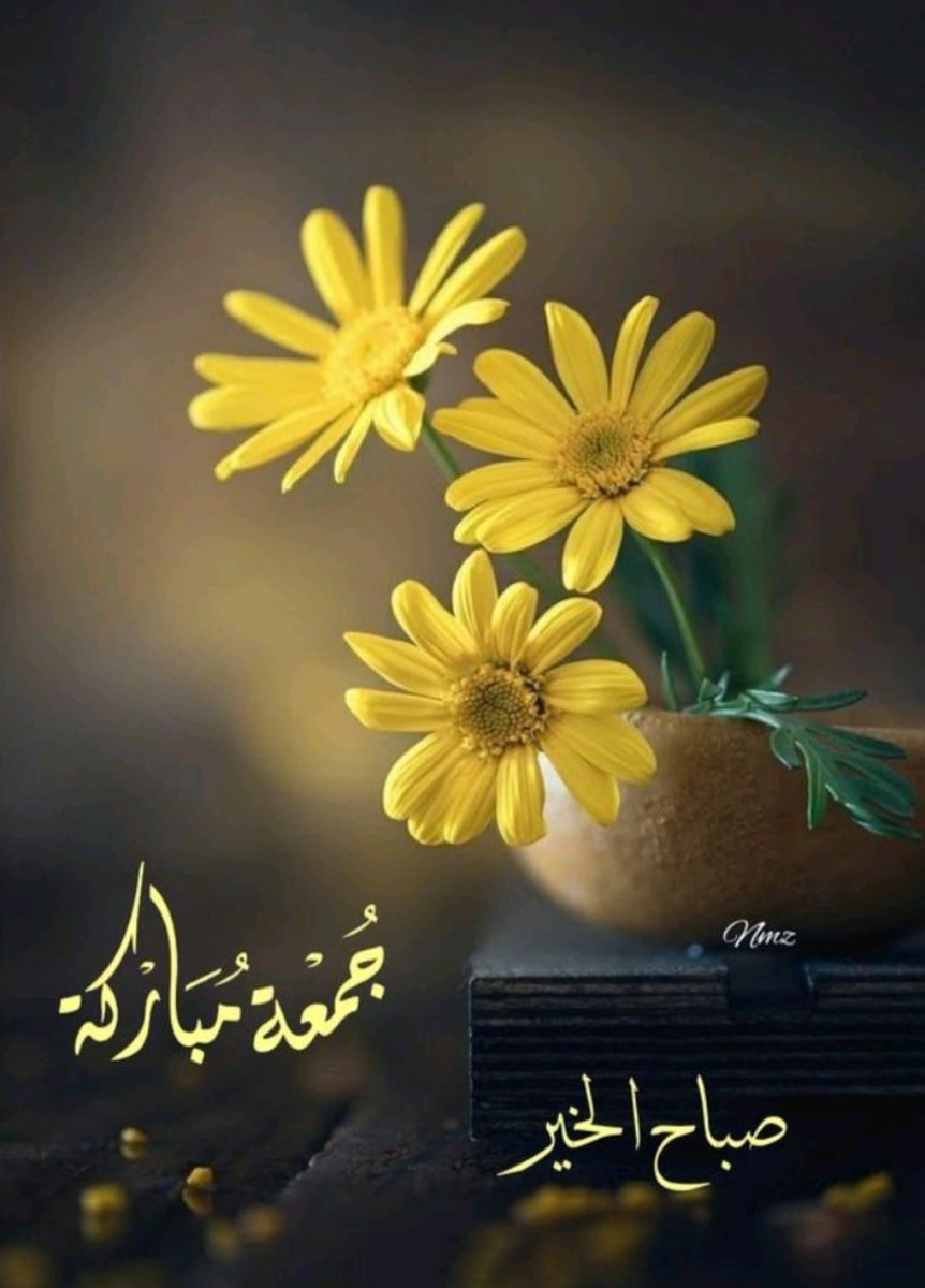 HalimaS01's tweet image. رسول ﷺ نے فرمایا:
"مظلوم کی دعا سے ڈرو، وہ اللہ سے ٹکراتی ہے، اس کے اور اللہ کے درمیان کوئی پردہ نہیں ہوتا۔"
(صحیح بخاری)
آج فلسطین، کشمیر، اور پاکستان کے لیے دعا ہے
یا اللّٰہ! ظلم ختم فرما، مظلوموں کو صبر و فتح عطا فرما، ہمارے وطن کو امن دے۔
آمین یا رب العالمین 🤲