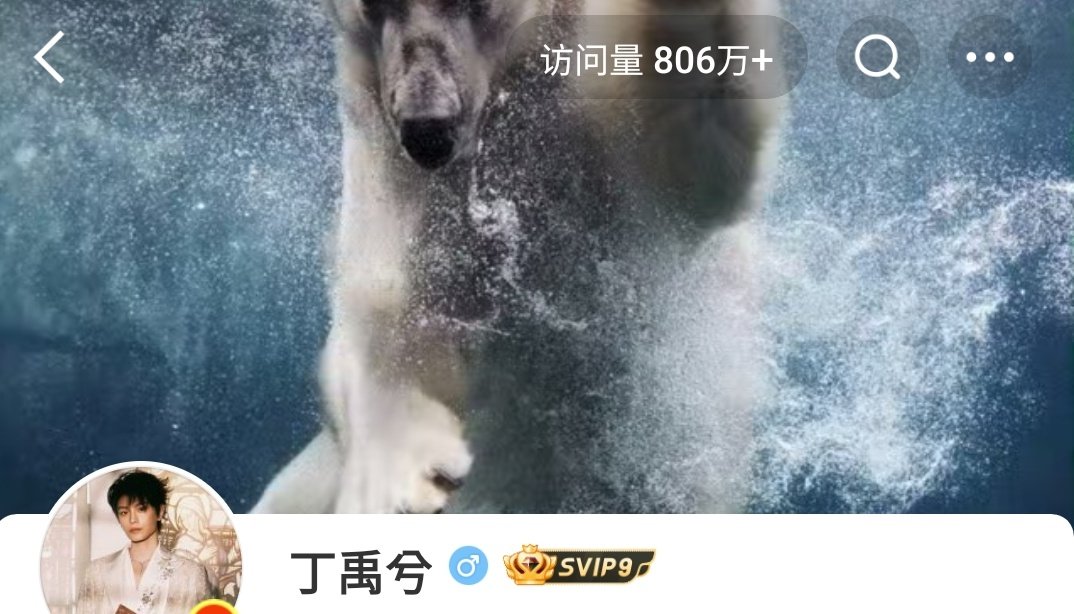 etrangereinx's tweet image. already 8.06 million visits? gosh it really breaks the record from musheng era, what are people seeing on my man's wb actually😅