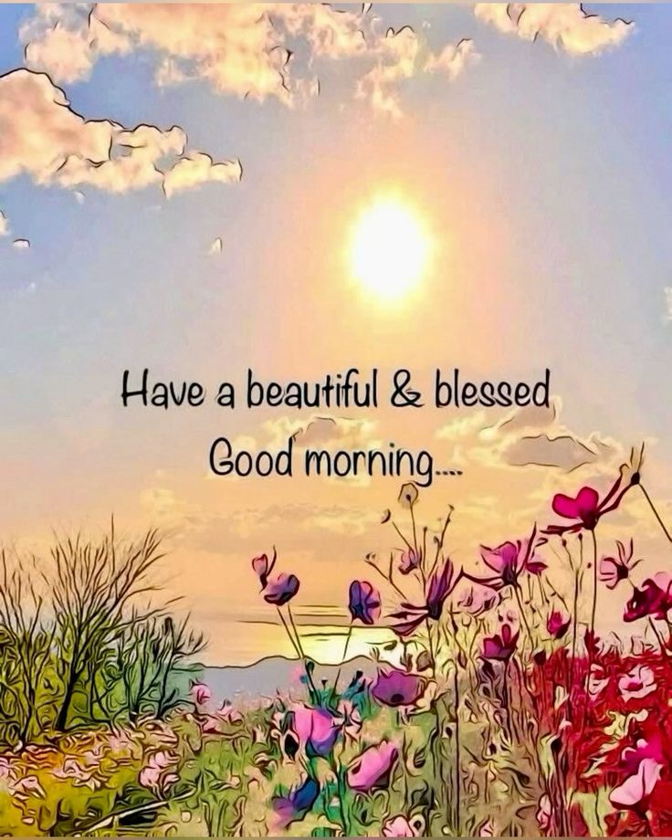 OhoraEmily's tweet image. Good morning me beautiful darlings ☕️☀️ happy sensational Friday to you all 🥰 have a fabulous day whatever you may be doing 🤗 the weekend is upon us 👍 sending lots of blessings.. love.. hugs &amp;amp; best wishes. Take care 💛🫂🙏🪷🙌🏵🌸🌻🌄🫶🪻🌤🌷xoxo