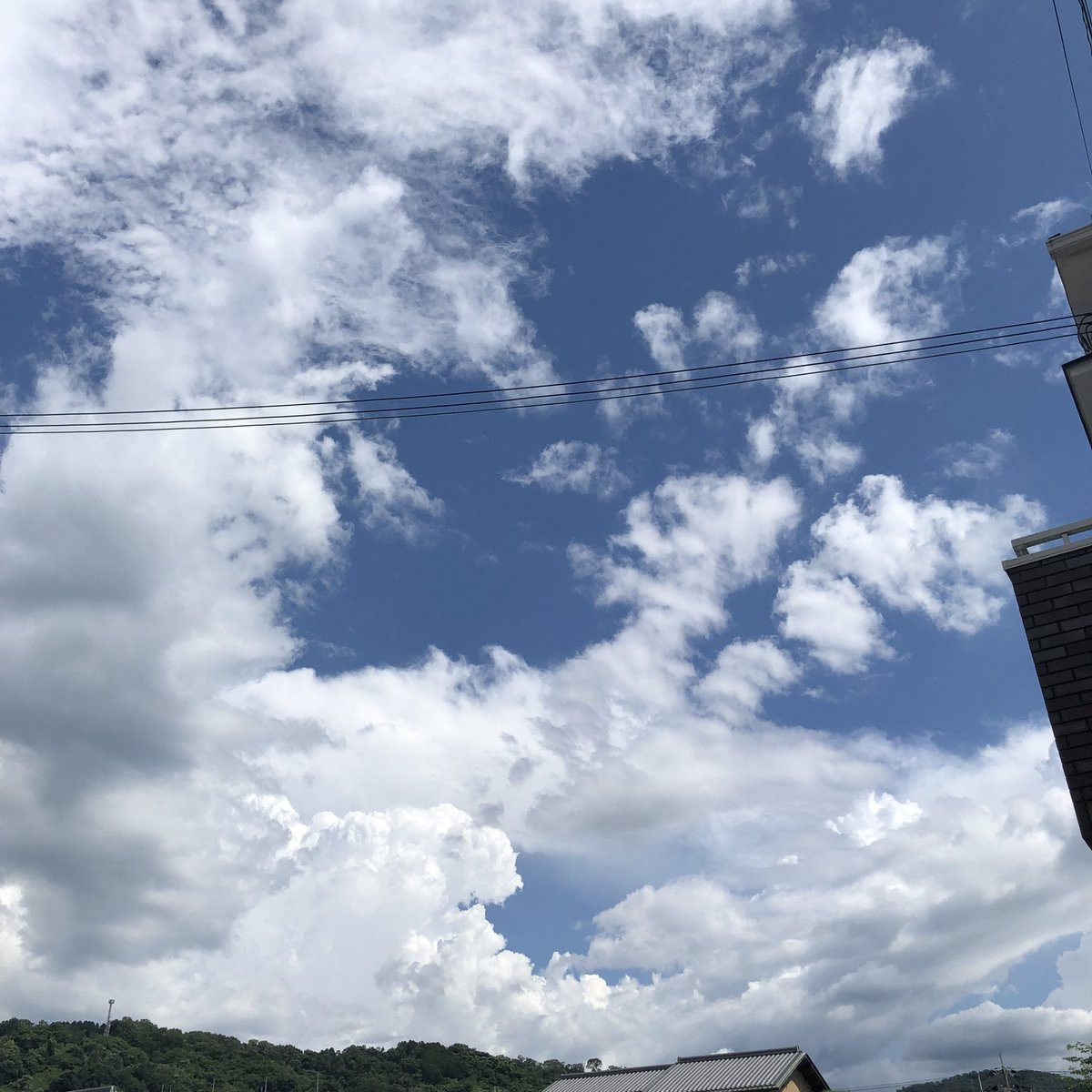 tarosuke0423's tweet image. 遠雷の鳴る空と反対側の晴れてる空。
ひと雨来そうです。
