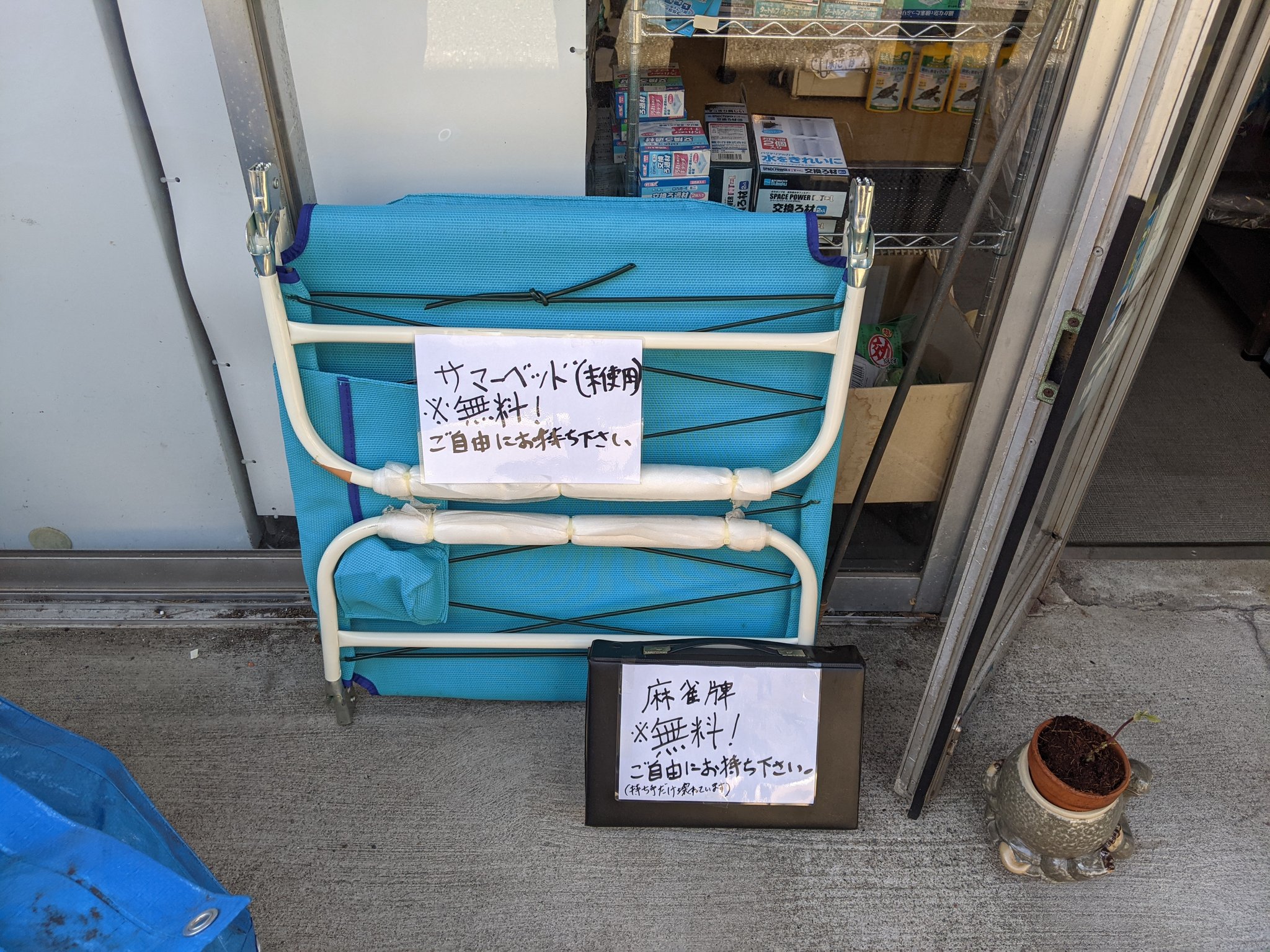 🐢かめんちゅ🐢 on X: 