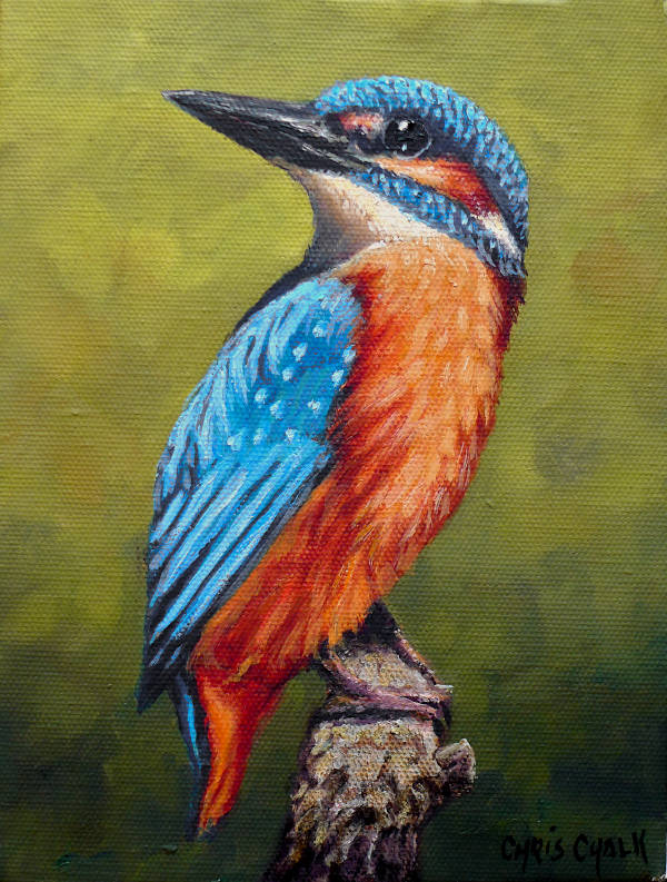 chrischalkart's tweet image. Royal Fisherman, oil - Surely the UK's most colourful birds, and one of my absolute favourites to paint. This is a local Kingfisher, seen at the Welsh Wildlife Center here in Pembrokeshire. #birds