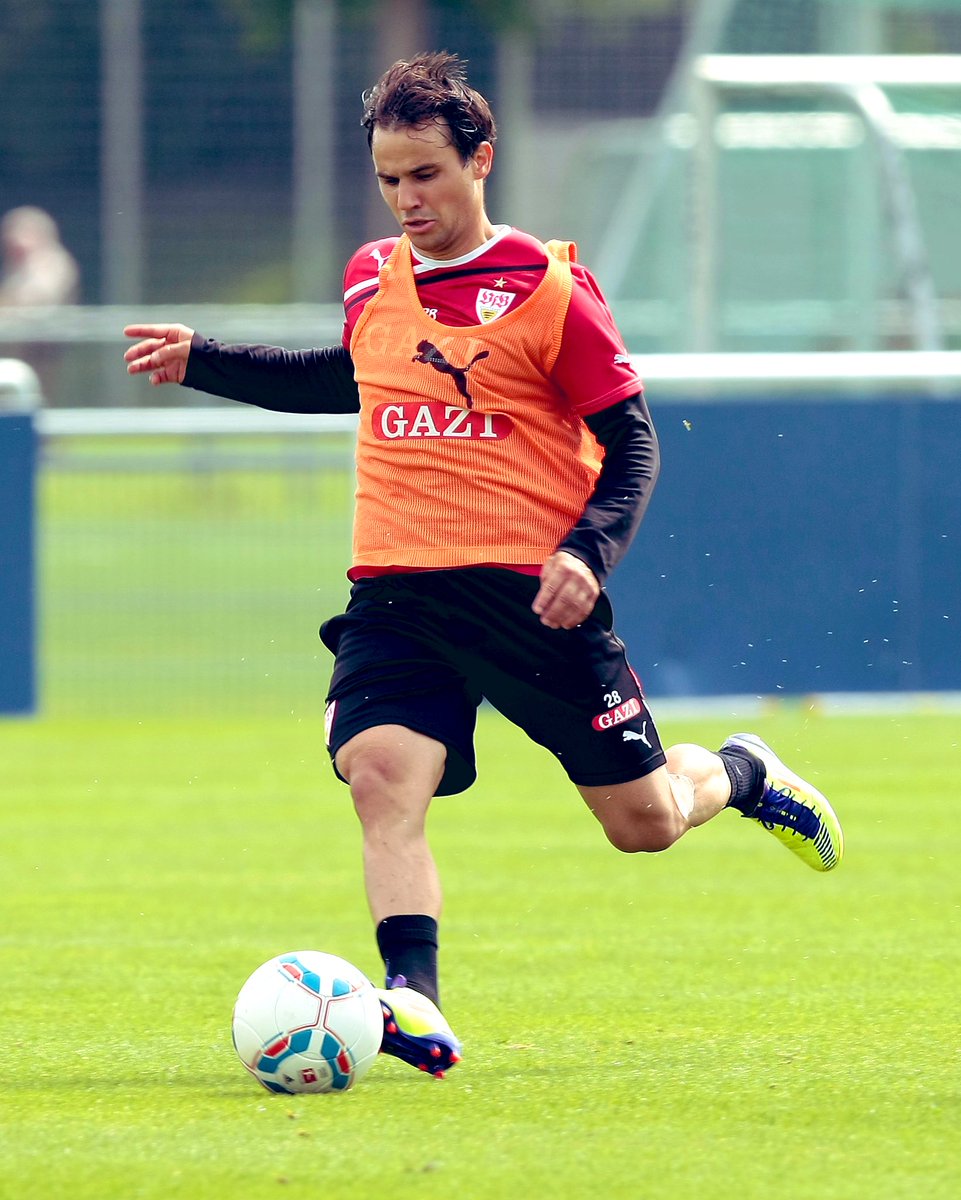 VfBSTR's tweet image. VfB-Spieler des Tages: Tamas Hajnal 🇭🇺
📍: Offensives Mittelfeld
🗓️: von 01/11 bis 08/13
⚽️: 74 Spiele
🎯: 6 Tore - 19 Vorlagen
Transfer
➡️: Borussia Dortmund 🇩🇪
💶: 1 Mio €
⬅️: FC Ingolstadt 04 🇩🇪
💶: 250 Tsd €
