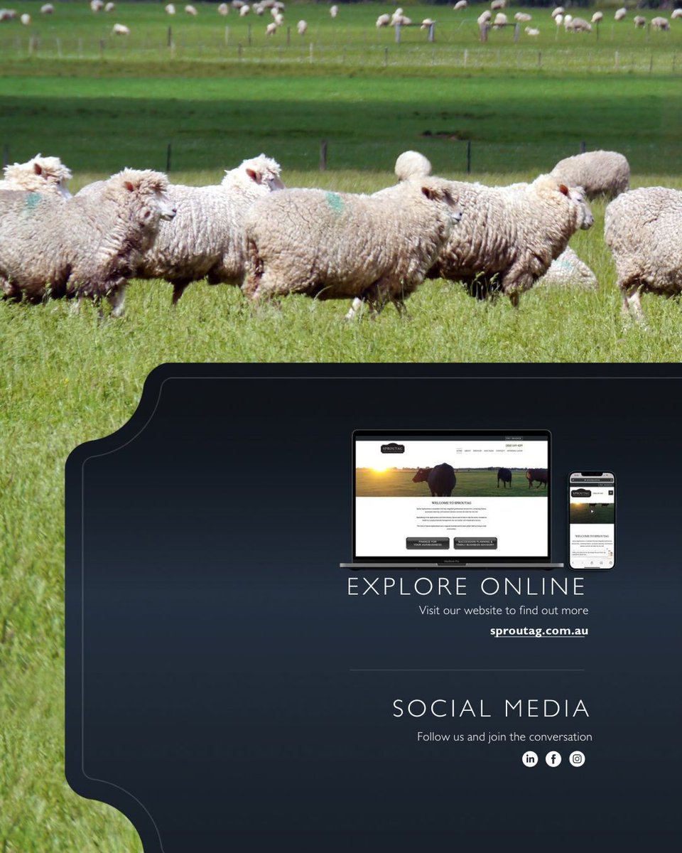 🌱 Ready to take control of your agri-finance decisions?

We’ve created a practical, easy-to-follow guide to help you navigate the complex world of agri-finance, backed by Sprout Agribusiness’s deep industry experience and independent research.

sproutag.com.au/resources/