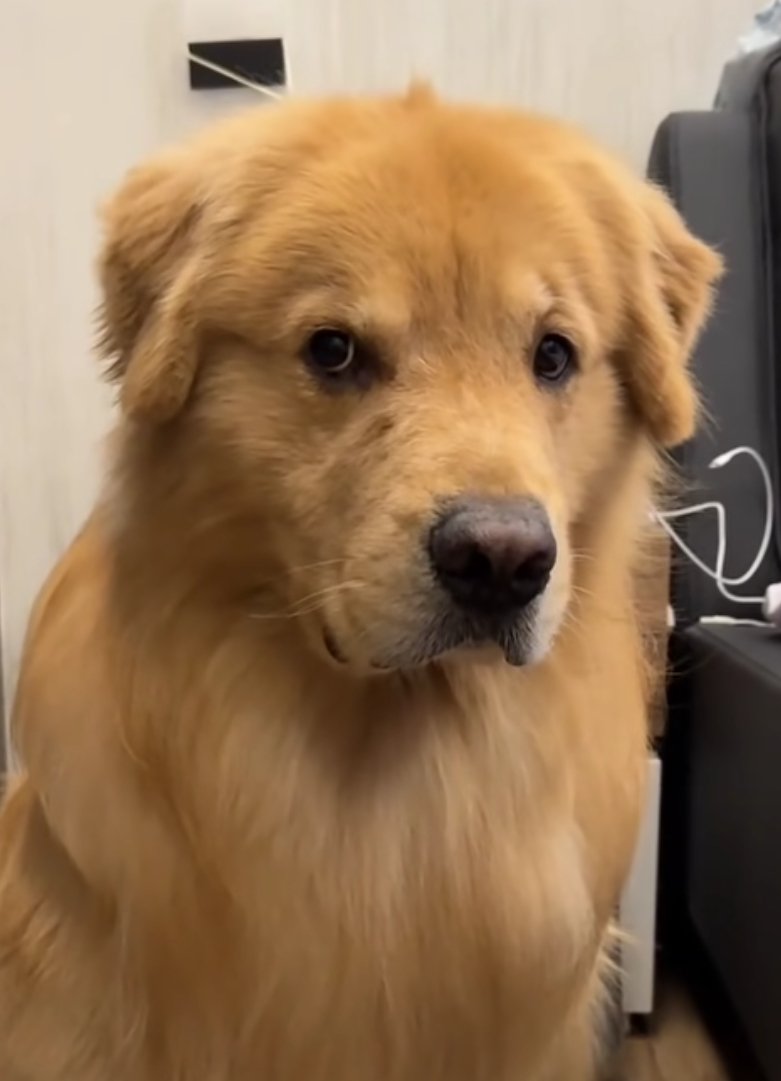 I can do anything for this face... Anything