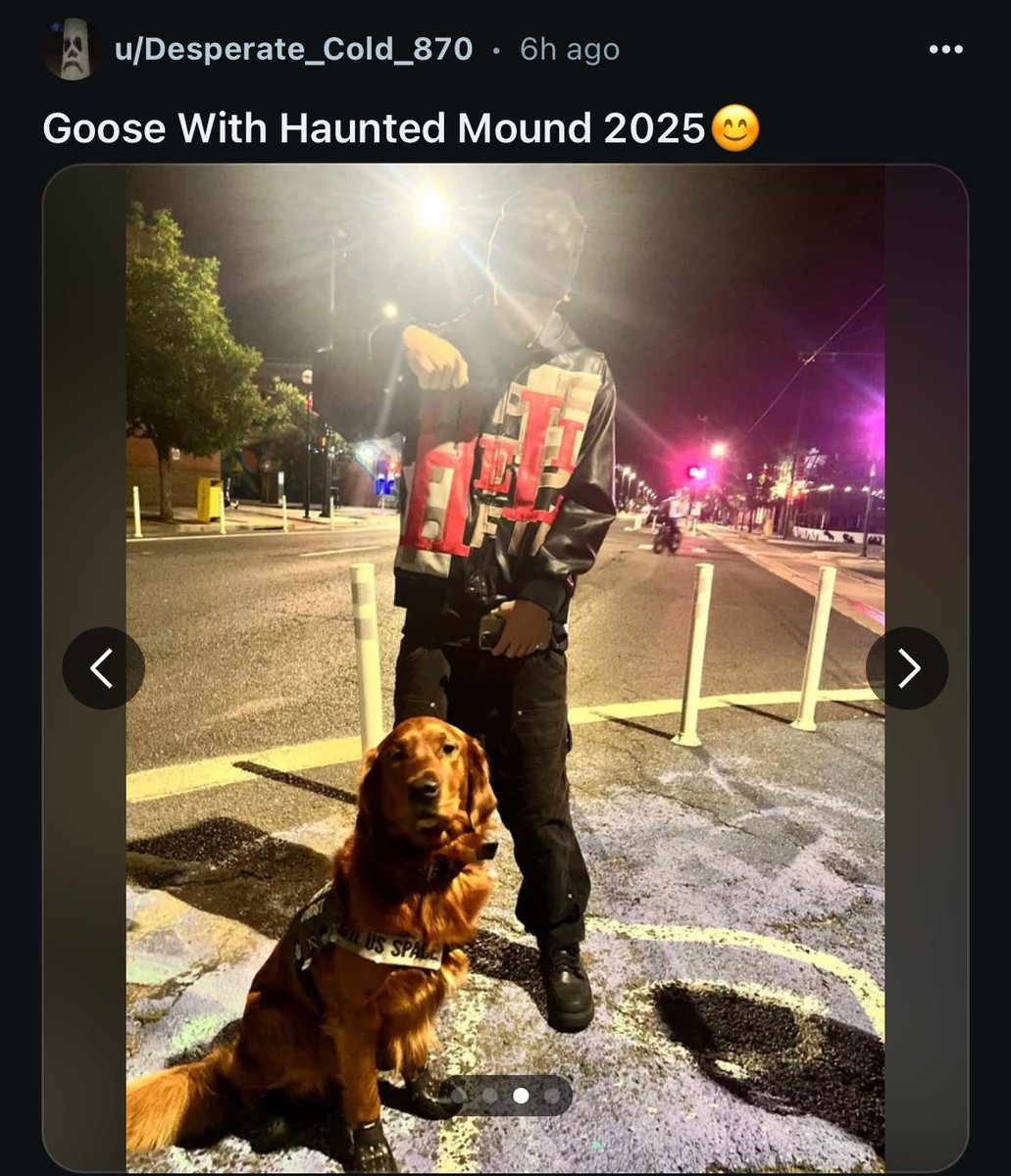 HauntedCentral's tweet image. Haunted mound members with goose the dog 🐶 📸