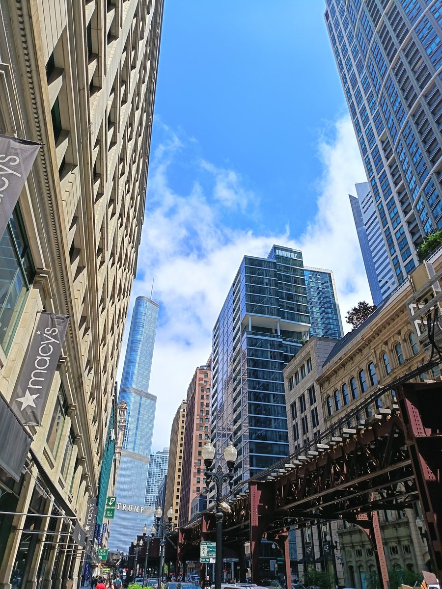 MathimeB's tweet image. 2541 miles ! 
Chicago, Indianapolis, Nashville, Savannah, Floride. 
Le retour est rude 😭