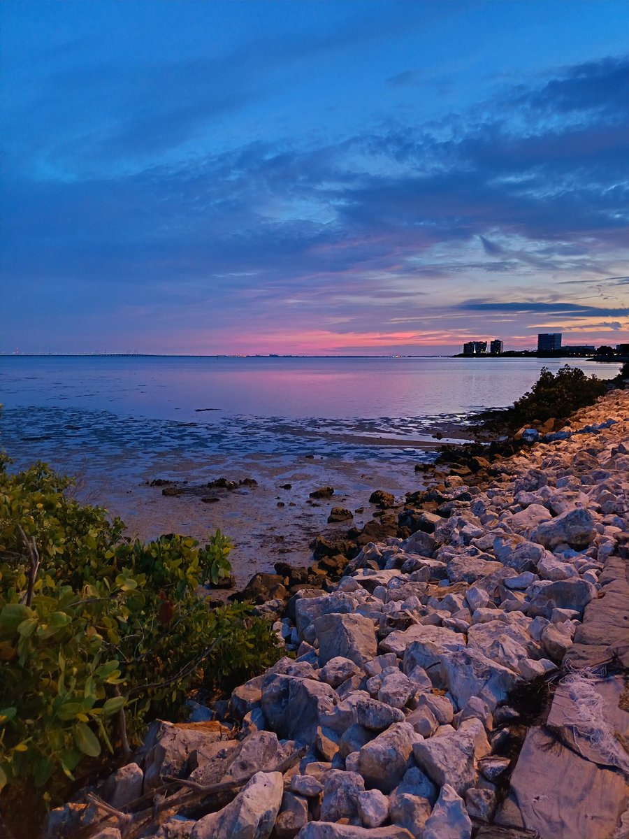 MathimeB's tweet image. 2541 miles ! 
Chicago, Indianapolis, Nashville, Savannah, Floride. 
Le retour est rude 😭