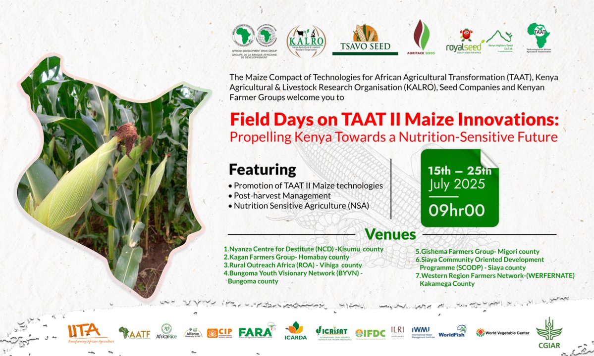 🌾There‘s #TAAT for that –Success in Action
🌱 5 seed companies scaled fast with TAAT’s wheat improved varieties, helping farmers tackle climate stress while improving yields and profits across #Nigeria and #Uganda.
✅ Higher yields
✅ Lower climate risk
➡️ Be next:
