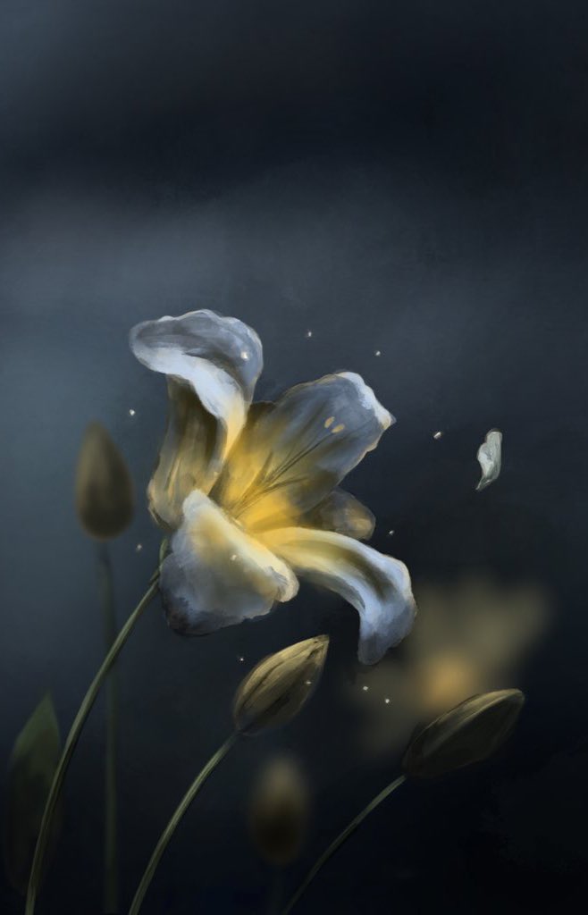 bean ฅ (◍•ᴗ•◍) ฅ tweet media