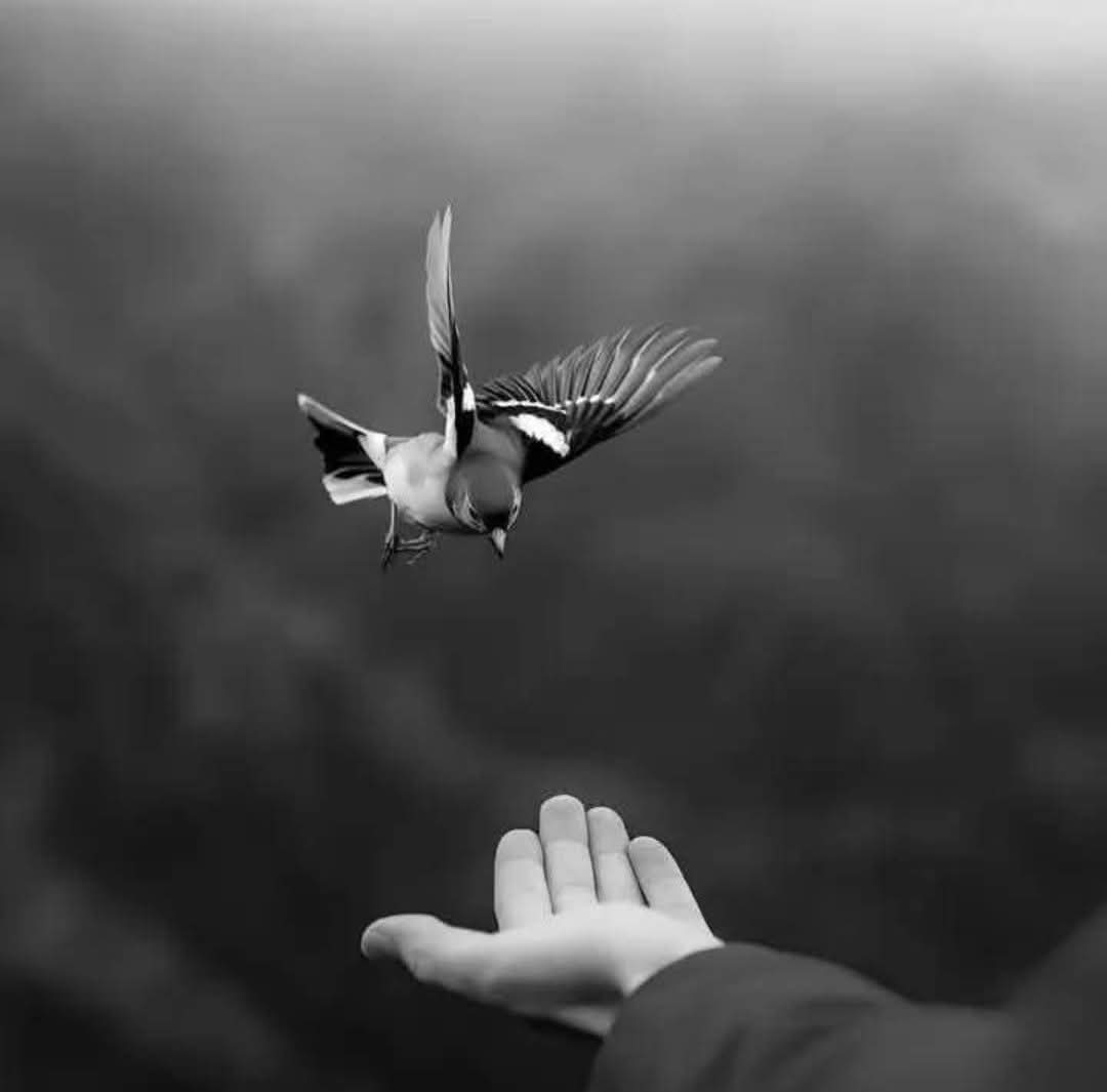کبھی یاد آؤں تو پوچھنا
ذرا اپنی فرصتِ شام سے 

               کِسے عِشق تھا تیری ذات سے
                  کِسے پیار تھا تیرے نام سے

ذرا یاد کر کے وہ کون تھا
جو کبھی تجھے بھی عزیز تھا

             وہ جو جی اُٹھا تیرے نام سے 
                  وہ جو مر مٹا تیرے نام پے