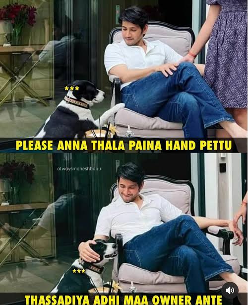 UrsHNE's tweet image. NIZAM Day1 Share:
#GunturKaaram - ₹16.5Cr
#BRO + #HariHaraVeeraMallu - ₹15Cr
Meeru entha mi bathkulu entha ra athani mundhu @urstrulyMahesh👑