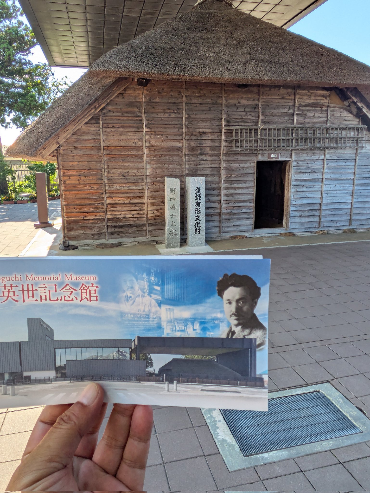 目でみる　野口英世記念館　全2巻 目でみる 野口英世記念館 全2巻 Amazon.co.jp: 野口英世記念館