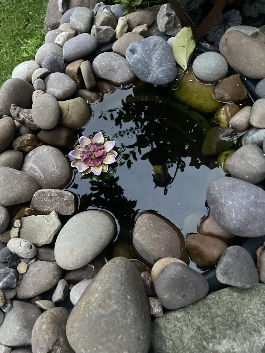warnetony's tweet image. Good morning to everyone in the #earlyrisersclub - it’s a non work day for me, but I have a busy day playing catch up on life chores ready for the weekend- wishing everyone a fabulous Friday