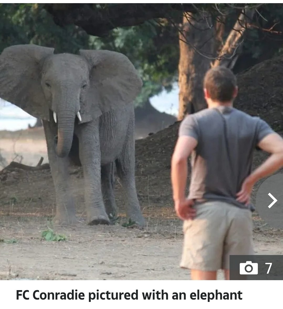 CitysFElephants's tweet image. 🖤 Tragic - FC Conradie, 39, was killed by an elephant at the Gondwana reserve on the Western Cape • #SouthAfrica
“This is an unimaginable loss. FC was more than a leader — he was a mentor, a visionary, and a truly remarkable human being,”
people.com/millionaire-so…