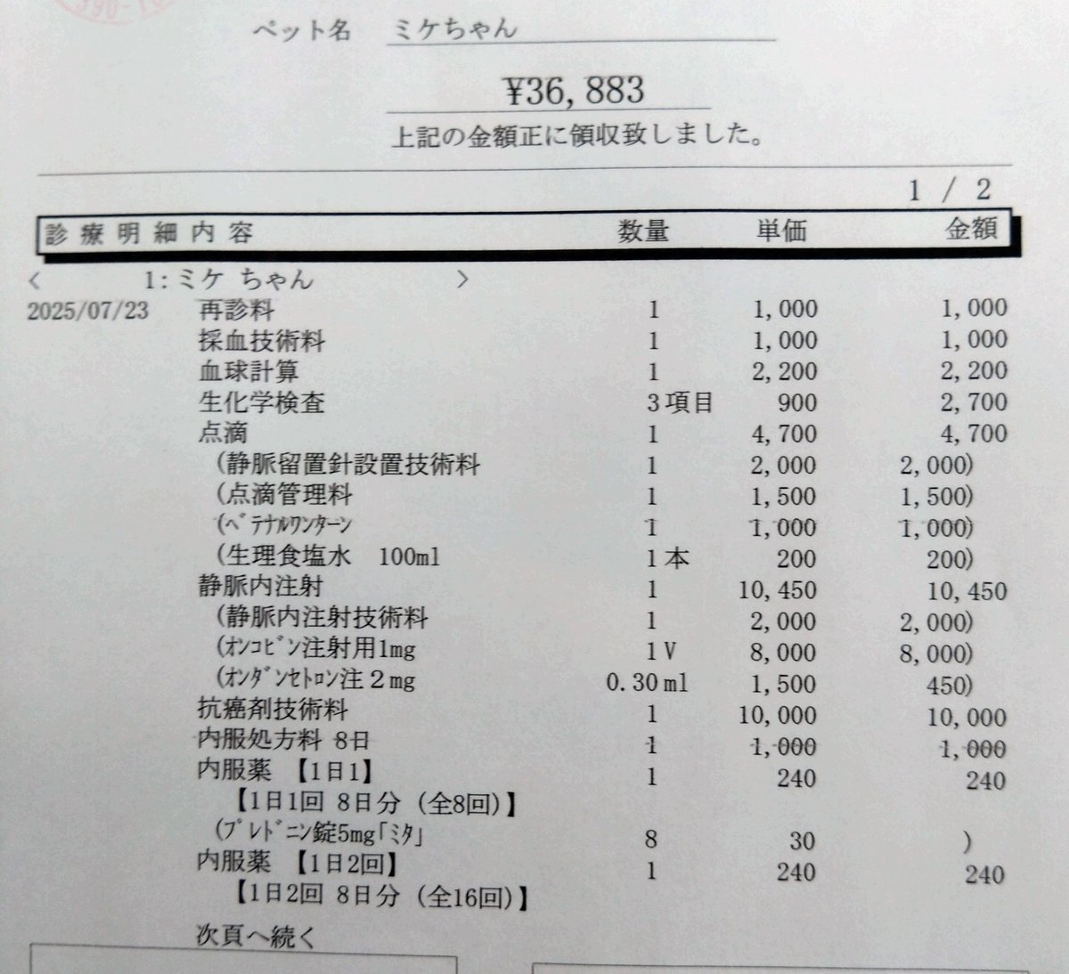 ojm52811's tweet photo. 抗がん剤は万一処置を誤って体表に漏れ出したりすると重篤な皮膚炎等を引き起こしてしまうので極めて慎重な処置が必要となります。
ミケちゃんは他の猫ちゃんと比べて皮膚が固く血管が柔らかいため先生も苦労されたそうで、体毛を広範囲に剃って処置して頂きました。副作用の状態を確認するため初回は2種類の抗がん剤を、来週からはもう1種類の抗がん剤シクロホスファミドを追加することになります。
このシクロホスファミドは「毒をもって毒を制す」抗がん剤で非常に毒性が強く、効果が見込める反面副作用も強く出ると言われています。ミケちゃんにとっては正念場になります。
抗がん剤治療はとても高額で1回あたり3万円以上の治療費がかかってしまいます…。当面の間は毎週治療を受けることになるので正直我が家の家計事情ではとても厳しいのが現実です。
幸いミケちゃんのグッズの売上からのご寄付や個人の方で直接ご支援をお申し出くださる方もいらしてとてもありがたく大変助かっております💧
皆様に支えられてミケちゃんは生きています。心より感謝しております。