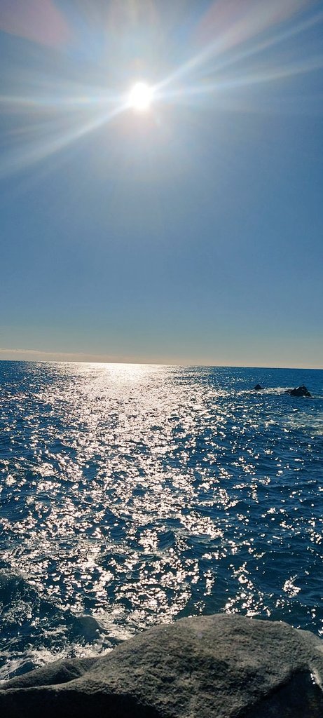 Frances83659171's tweet image. Aliti e aneliti, nell&apos;impermanenza dei giorni,
van togliendo polvere alla terra,
nella sciagura del mondo preparano il seme del possibile.

#BricioleDiPensieri
