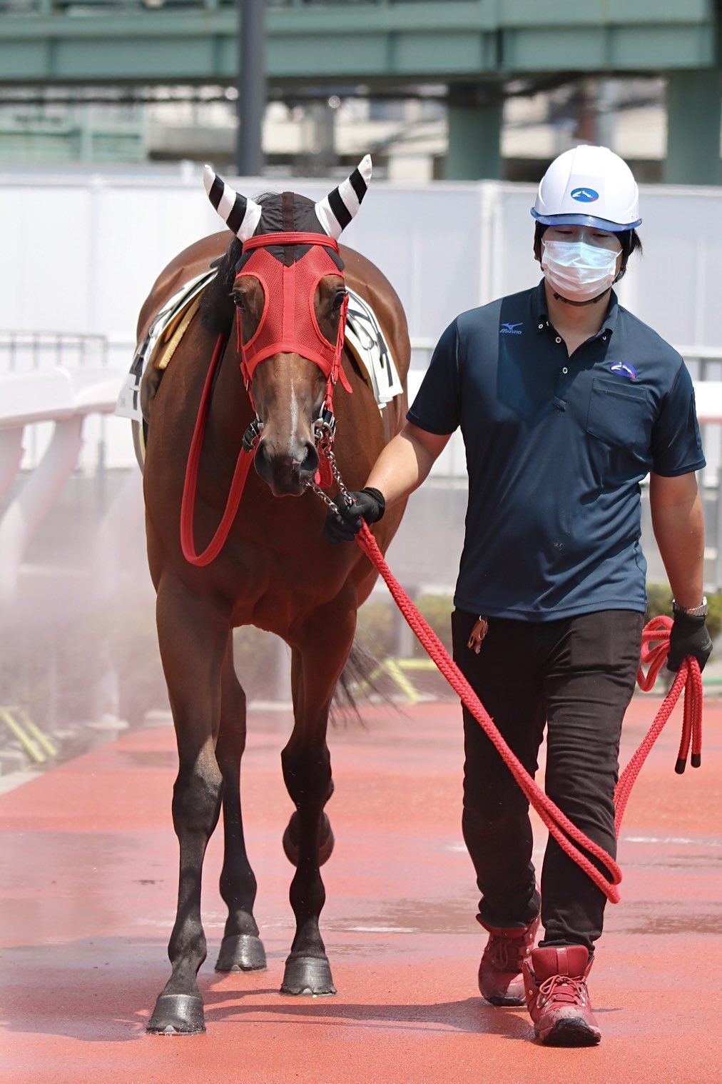 浦和競馬　勝負服　國分騎手サイン入り Amazon.co.jp: 浦和競馬 騎手 勝負服 タオル 競馬 地方競馬