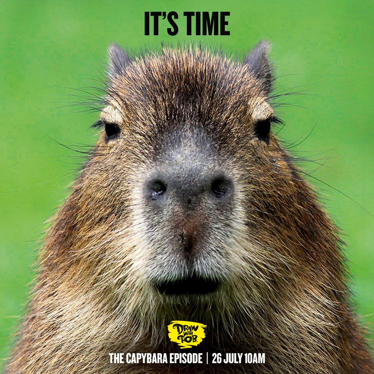 Capybara - Search / X