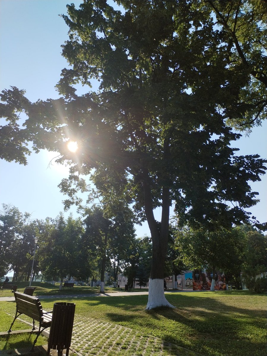 xyzwtf_55's tweet image. Short walk b 4 heat will hit us🥴
Had a cute companion too🧐😄
#photography
#photographer
#heatwave