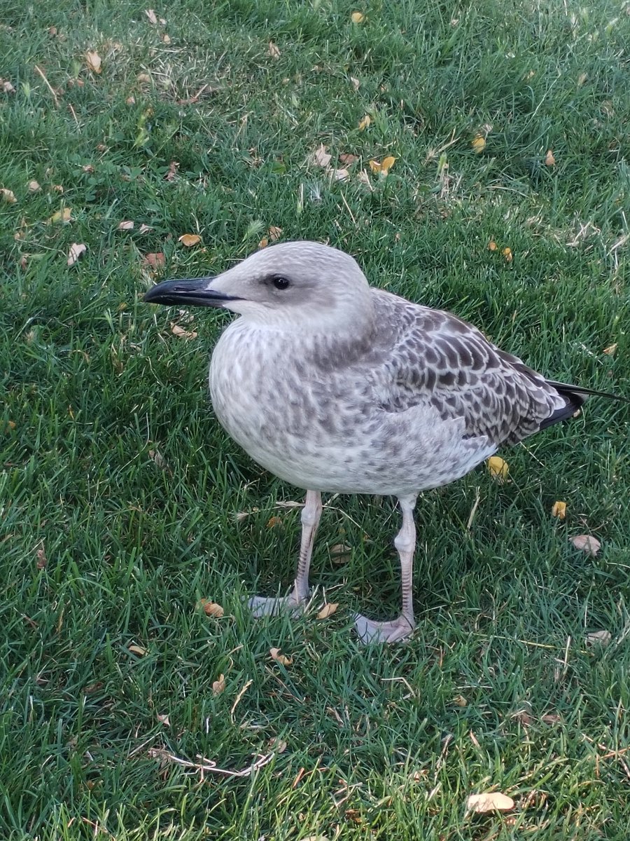 xyzwtf_55's tweet image. Short walk b 4 heat will hit us🥴
Had a cute companion too🧐😄
#photography
#photographer
#heatwave
