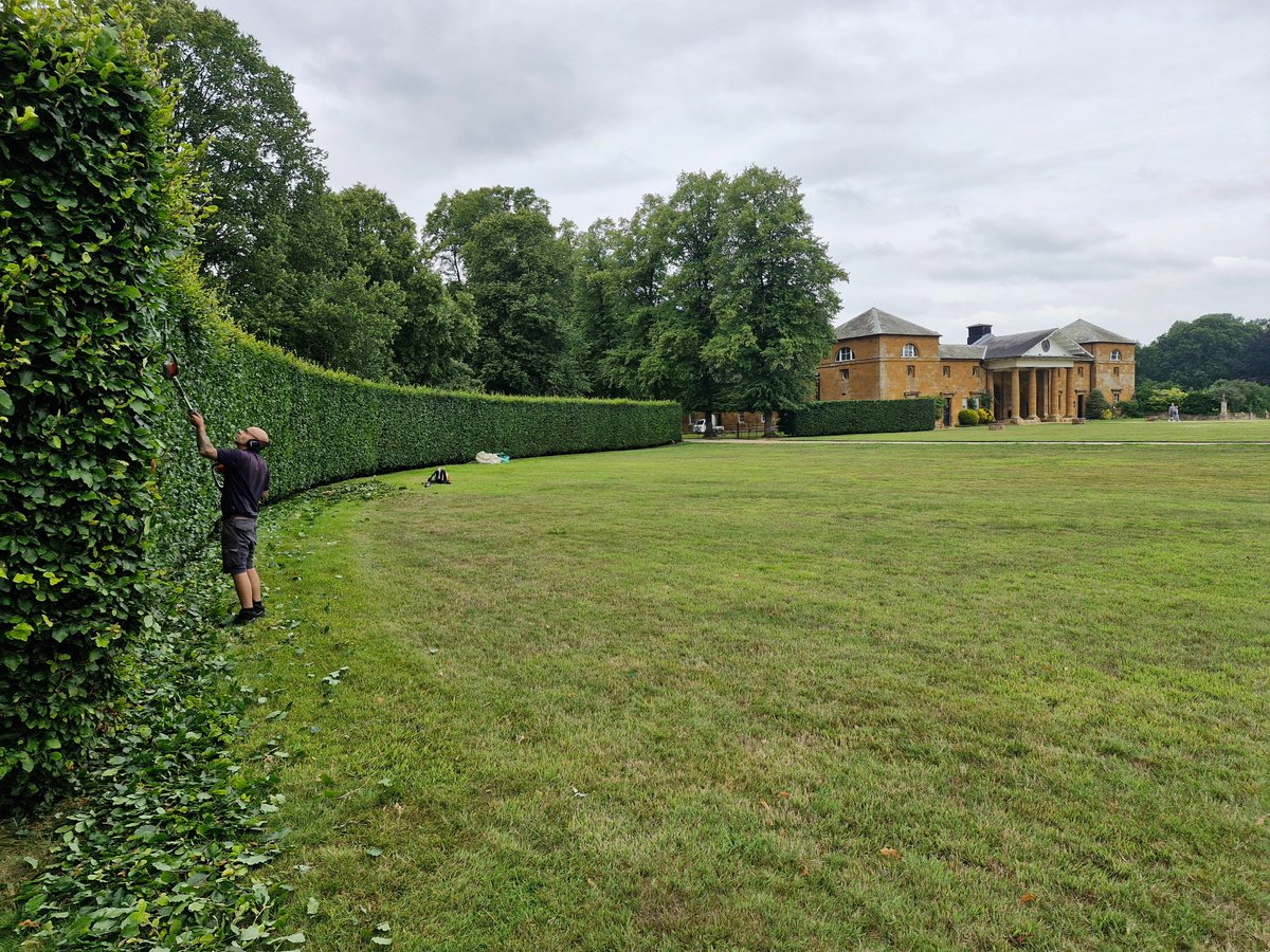 AdeysAlthorp's tweet image. The beech hedging @AlthorpHouse was being trimmed by gardener, Alex P. Yesterday.
It will take Alex approximately one week to complete the many metres surrounding the front lawns.
Conservation@althorp.com #Spencerestates