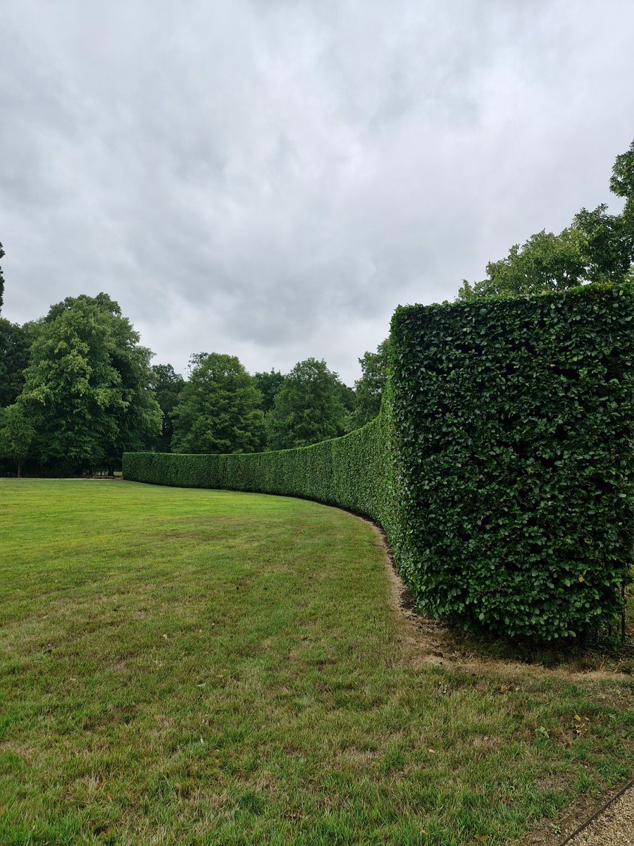 AdeysAlthorp's tweet image. The beech hedging @AlthorpHouse was being trimmed by gardener, Alex P. Yesterday.
It will take Alex approximately one week to complete the many metres surrounding the front lawns.
Conservation@althorp.com #Spencerestates