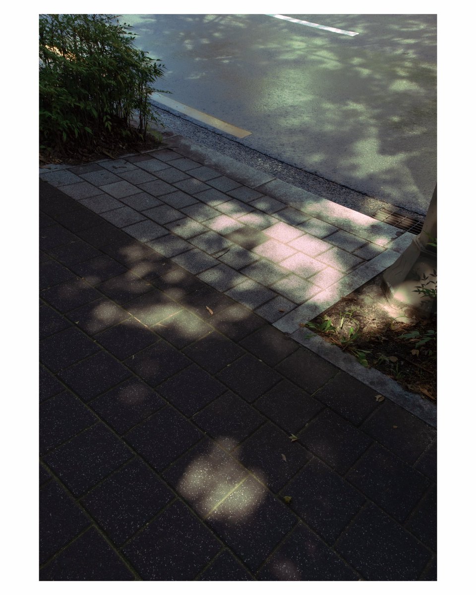 제곱이 (@thesquareoftwo) on Twitter photo 