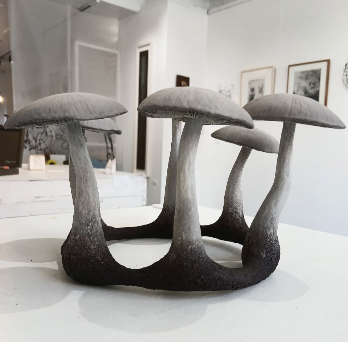 gallery shell102 on X: 