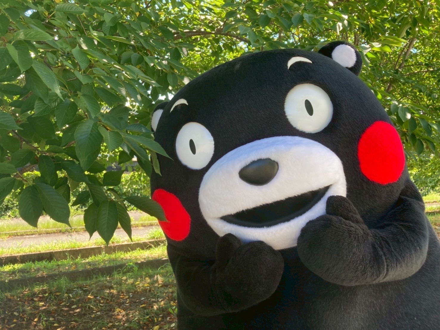 くまモン【公式】 (@55_kumamon) / X