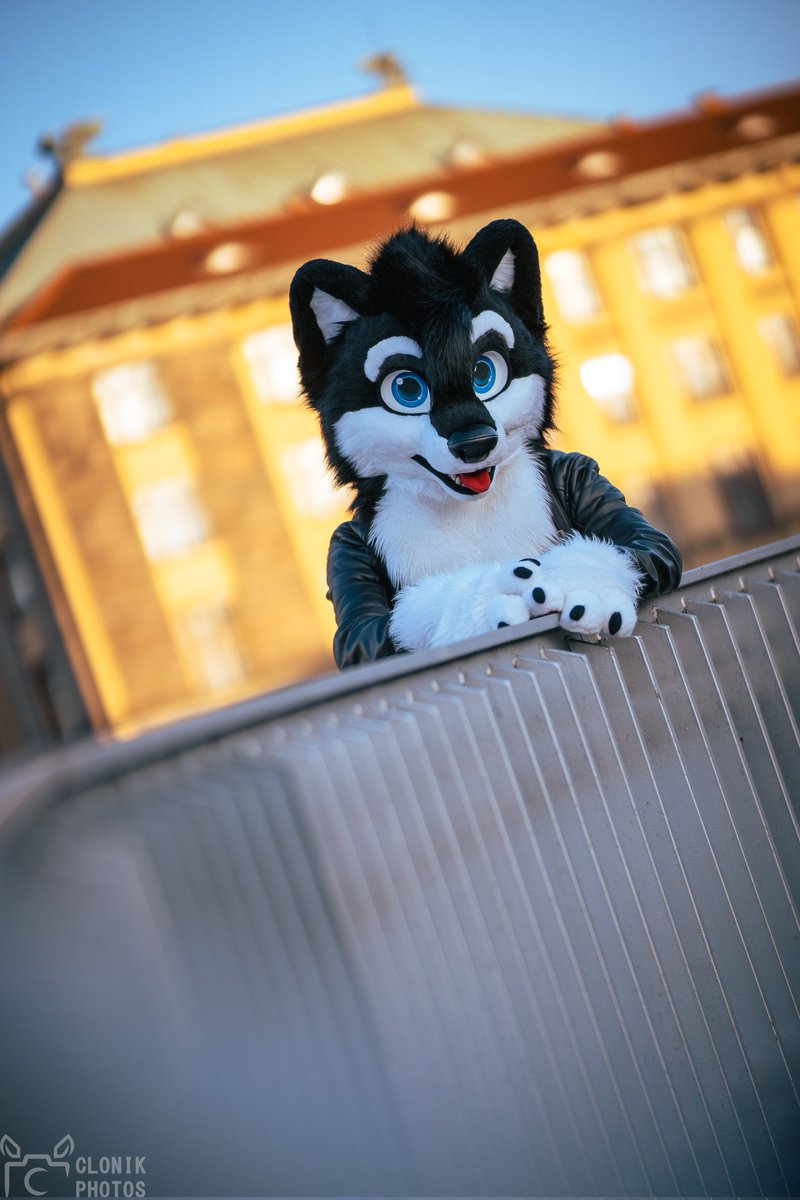 Happy #FursuitFriday

🧵 <a href="/r5suits/">R5Suits (Rodney) 🌰12 years of talent✨</a> 
📸 <a href="/cloniksphotos/">Clonik</a>