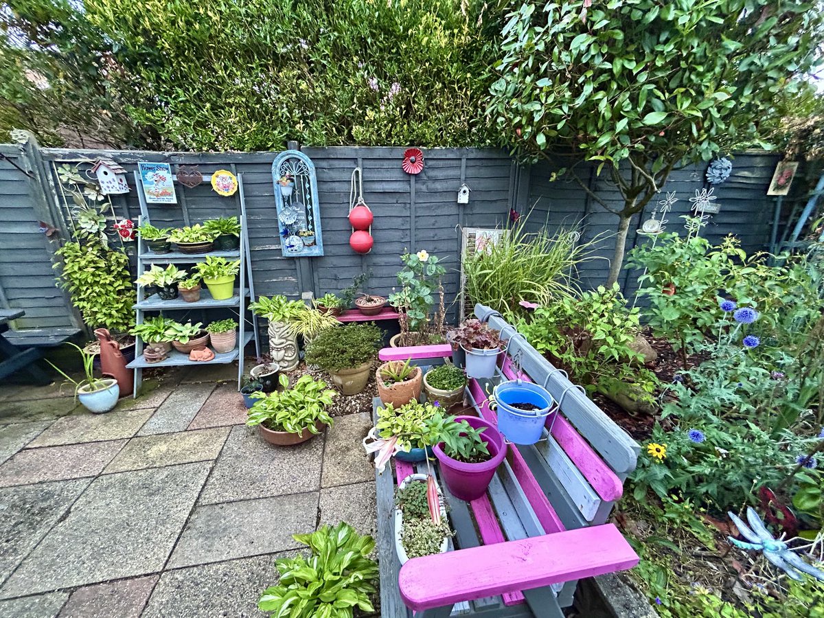 vanessa_c_clark's tweet image. Big plans for this area next spring, I’m going to paint my bike up (pink or white) & park it under the Red Robin Tree with plants growing in a wicker basket on the front. Or may have to be fake flowers as I won’t get in easily to water.