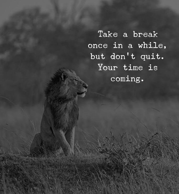 chandrakanta kumawat (@chandra79556234) on Twitter photo 