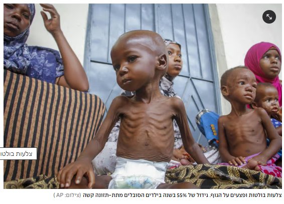 ראו נא את התמונה הנוראית הזאת …
העולם חייב להתגייס מייד ולעזור לילדים הגוועים ברעב …
ולשלוח להם את כל העזרה והסיוע האפשרים …
- לסומאליה …
חשוב לזכור - הסומאלים הם אנשים טובים - הם לא פלשו למדינה שכנה ושחטו תינוקות וילדים, ולא אנסו נערות תמימות ולא חטפו אימהות וילדים, ולא